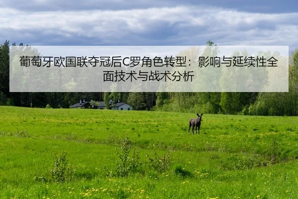 葡萄牙欧国联夺冠后C罗角色转型：影响与延续性全面技术与战术分析
