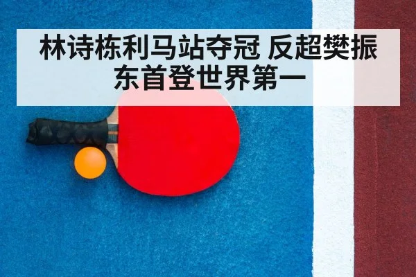 ping pong racket